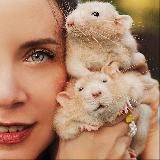 masha_littlefox