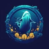 Кит 🐳