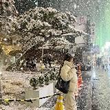 – ᴋᴏʀᴇᴀ –