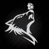 جام جهانی فوتبال ⚽ Sport Bad News