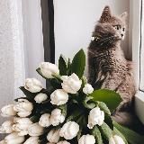 Шпалери/Обої на телефончик 🥰❤️🔥