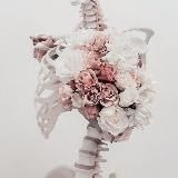 • Káto’s Fearland •