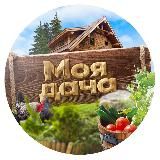 Моя любимая дача