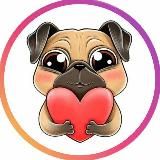 Smm | Blogging