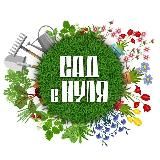 САД С НУЛЯ | Оксана Пискарёва