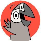 @vinci_africangrey