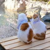 Удивительная Япония