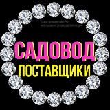 ДИЗАЙНЕРЫ|ИНФОГРАФИКА