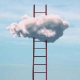 Познавательное рядом