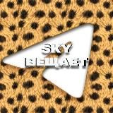 Вещает Sky Team | Арбитраж трафика