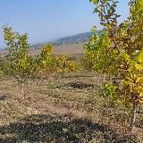 Плодородие Земли