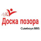 ДОСКА ПОЗОРА
