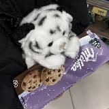 ∘₊✧─Мне Холодно─✧₊∘