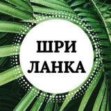 🌴🌊☀️🐋 Главный Чат lankaplanet.ru Мирисса Шри-Ланка