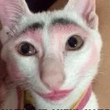 Циничный косметолог💉😹