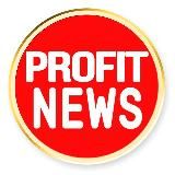 PROFIT DRIVE