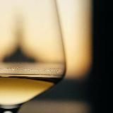 Чем заняться в Петербурге