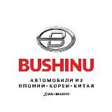BUSHINUAUTO