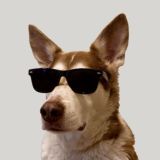 ITDog Chat