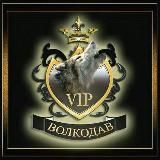VIP VOLKODAV