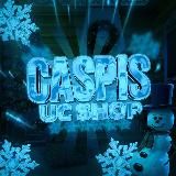 CASPIS SERVICE