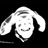 ЛОГОВО ЖУКА