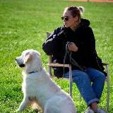 Киноблогер с хвостатыми| syilers