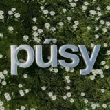 Держи руку на PÚSY