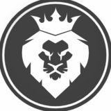 LION | Кроссовки и одежда