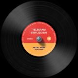 Винилизатор 💿