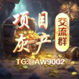 项目灰产交流群