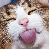 Добрый 🐶 Буратино фильм