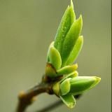 Путь к себе