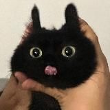 Dsahs