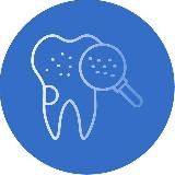 Терапевтическая и Эстетическая стоматология | Endodontia and Apical Surgery