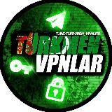 BULL TEAM GROUP VPN