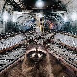 Коварная колея