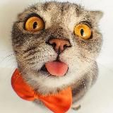 КузЬкиНа МатЬ | Новости России