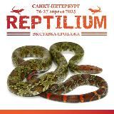 Рептилиум Reptilium | змеи | ящерицы | лягушки | рыбки