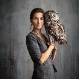 Десерты. Кондитерский практикум 🍰