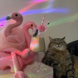 Взаимные подписки 🩷 реакции • подписка