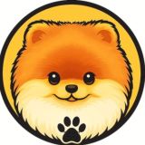 فروشگاه سگ آپارتمانی | pet_market