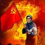 Провидец