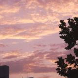 Бесплатные алмазы фри фаер💎😱