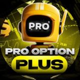 Pro Option Plus