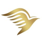 菜鸟VPN 永久免费 中文频道