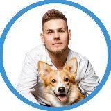 Ветеринар с адекватным подходом🐾