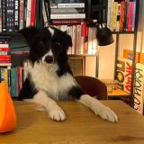 Меланія Подоляк Chat