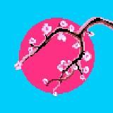 Pixel+