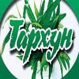 ТАРХУН